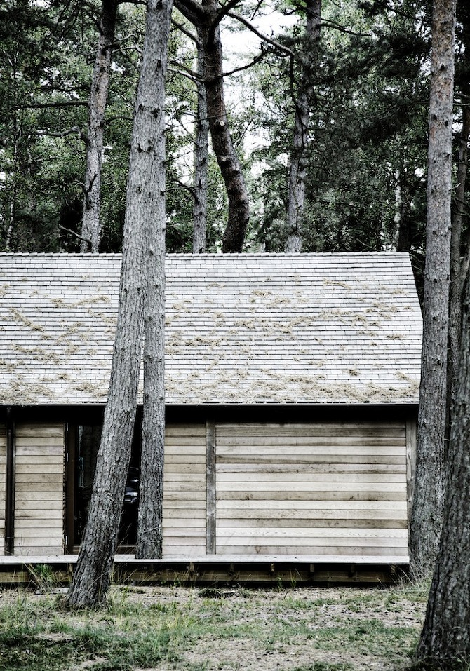  MG 6348 Wood Work by Line Thit Klein in THISISPAPER MAGAZINE